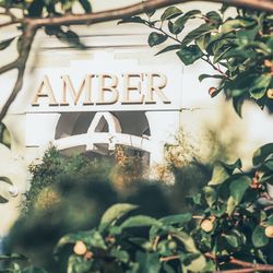 Dom Zdrojowy Amber