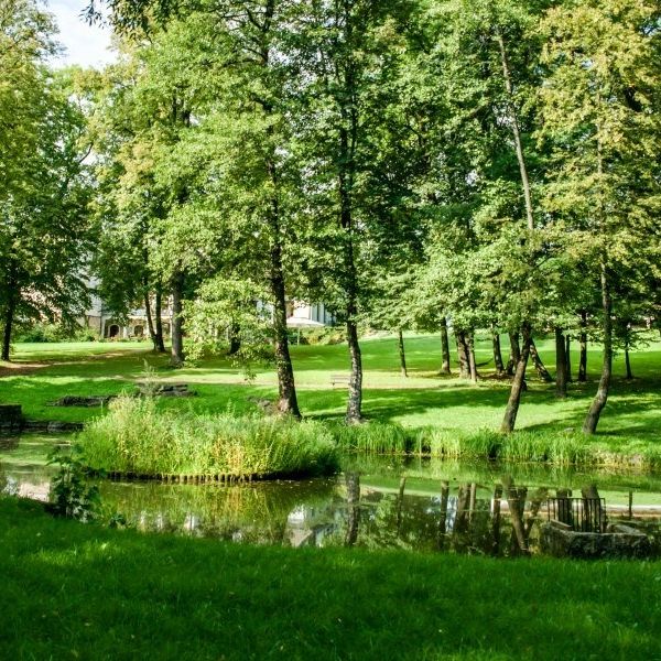 Dwór Kombornia - Folwark (ex Wine Garden)