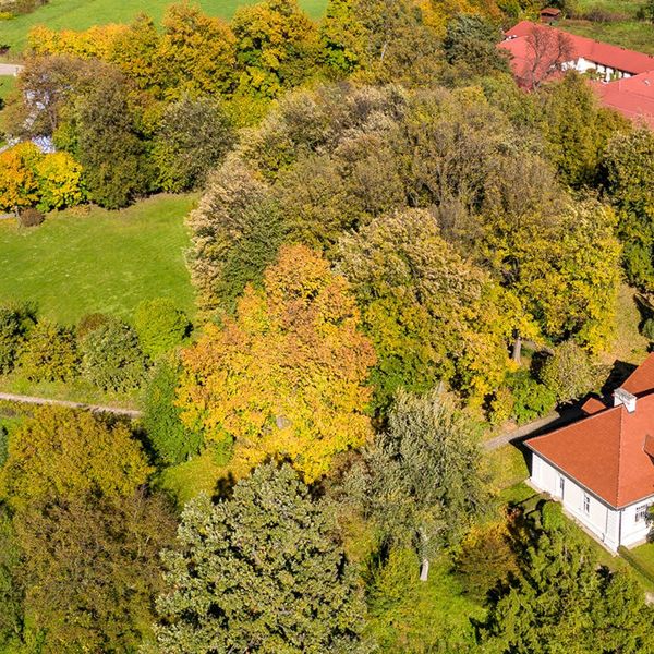 Dwór w Tomaszowicach