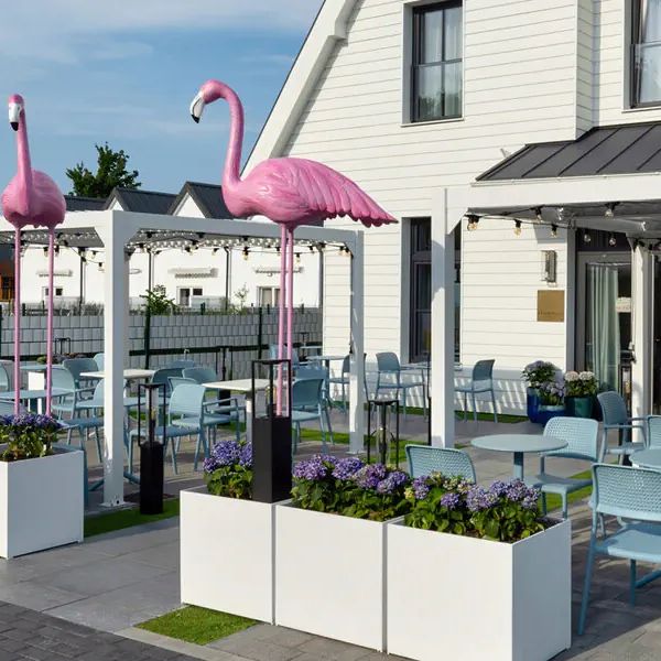 Flamingo Residence