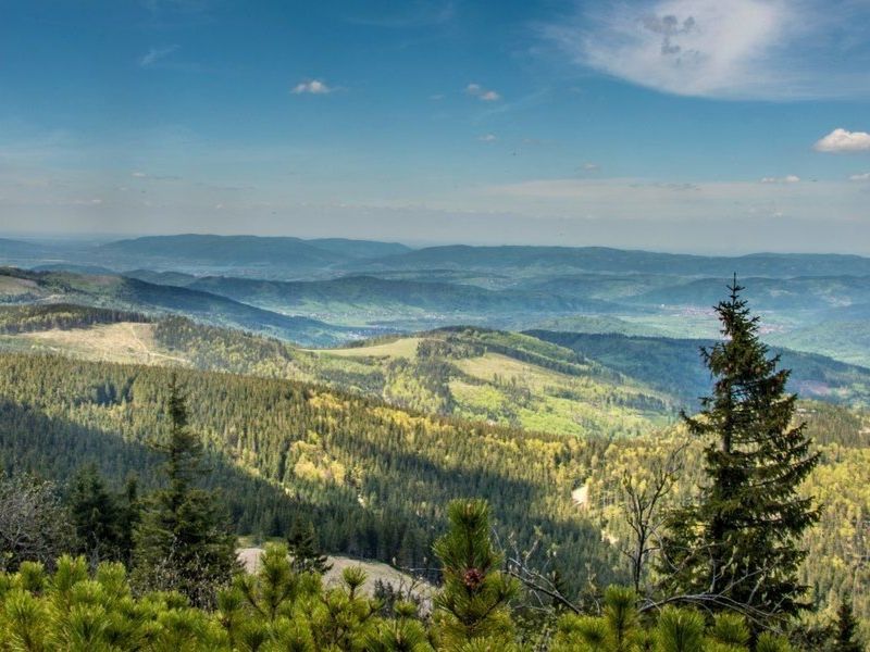 zwiedzanie