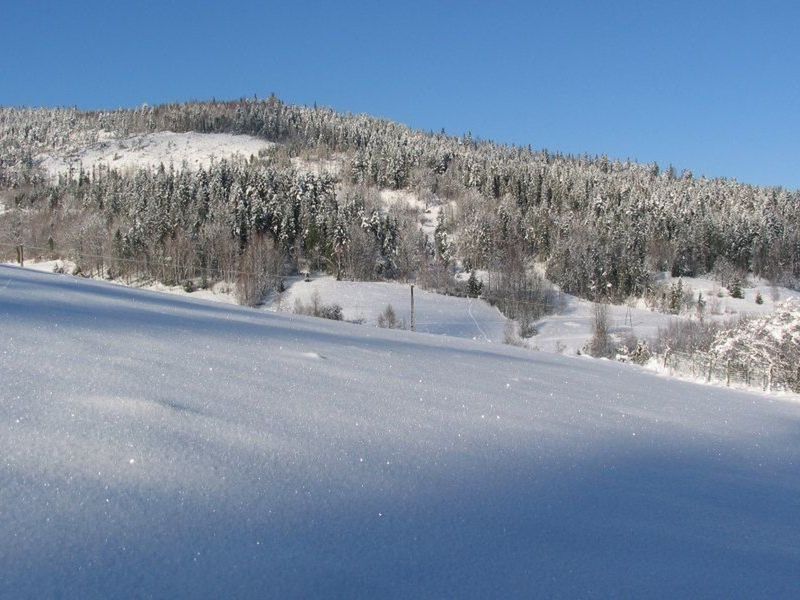 zwiedzanie
