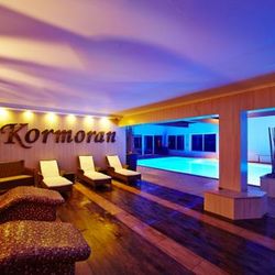 Kormoran Rowy
