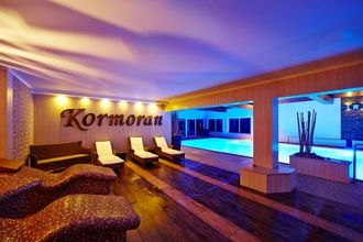 Kormoran Rowy