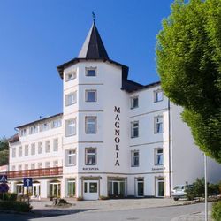Magnolia Świeradów Zdrój