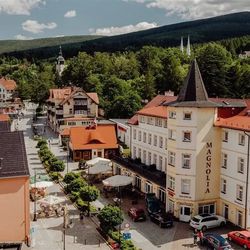 Magnolia Świeradów Zdrój