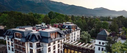 Nosalowy Park (ex Art & Spa)