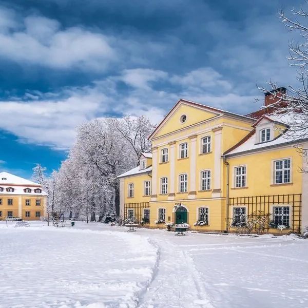 Pałac Łomnica