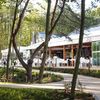 Wczasy z biura podróży Jastrzębia Góra Rosevia Resort SPA