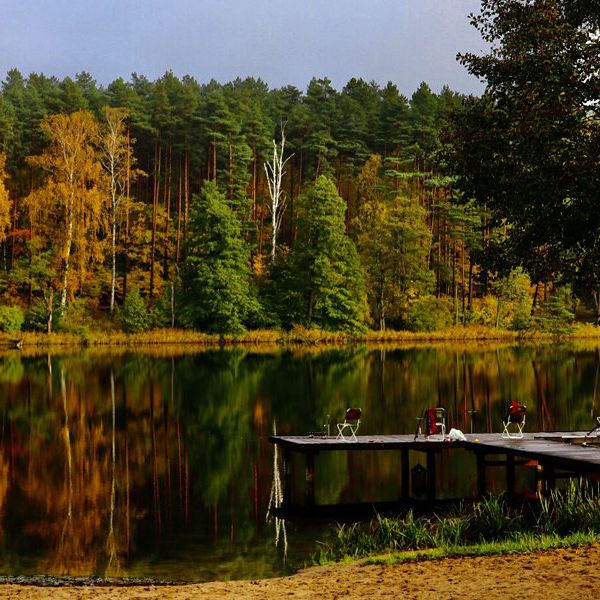 Złota Łania BioResort & SPA