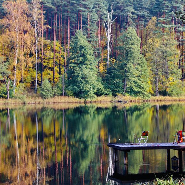 Złota Łania BioResort & SPA