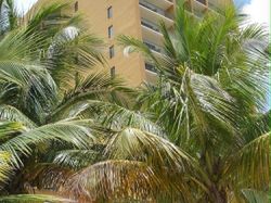 Courtyard Marriott Isla Verde