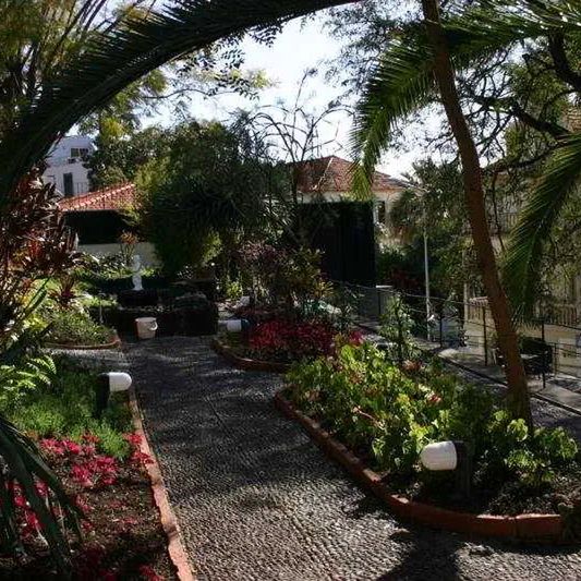 Arts In Conde Carvalhal