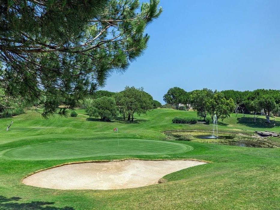 sport i rekreacja, pole golfowe