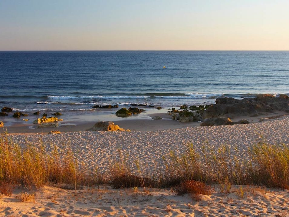plaża