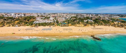 Monica Isabel Beach Club
