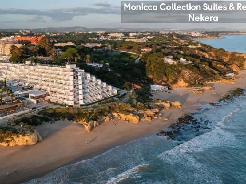 Monicca Collection Suites & Residences