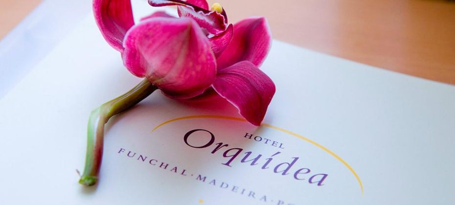 Orquidea (Funchal)