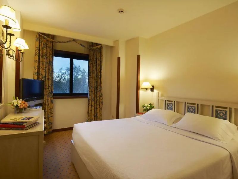 Real Residencia Suites