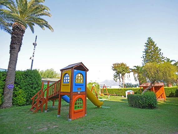 Miniaturka 24