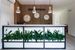 recepcja / lobby