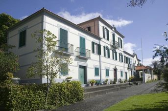 Quinta Mae dos Homens