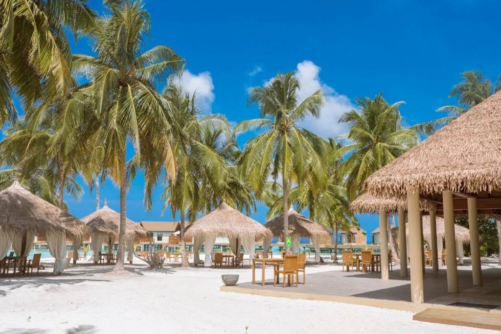 restauracja