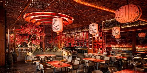 restauracja, drink bar