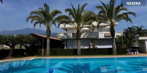 obiekt, teren hotelu, basen