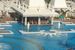 pool bar, basen