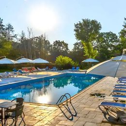 Holiday Blue