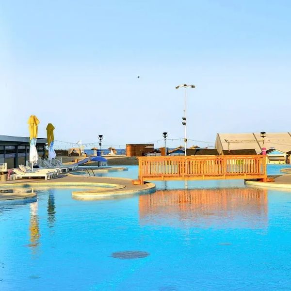 Phoenicia Royal