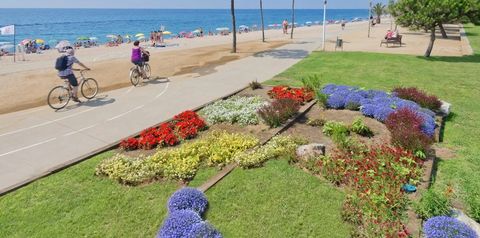 sport i rekreacja, plaża