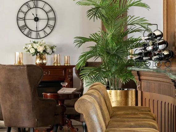 drink bar