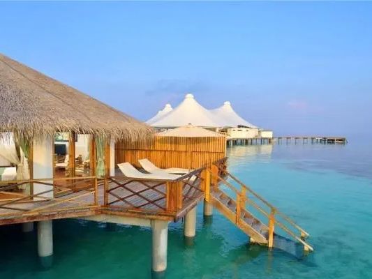 Safari Island