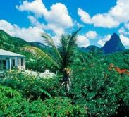 Anse Chastanet Resort