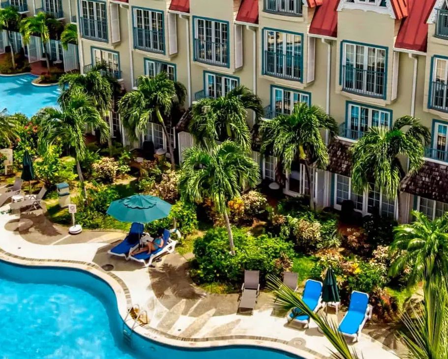 Coco Palm