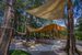 drink bar