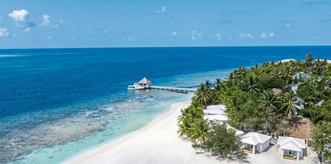 plaża, teren hotelu