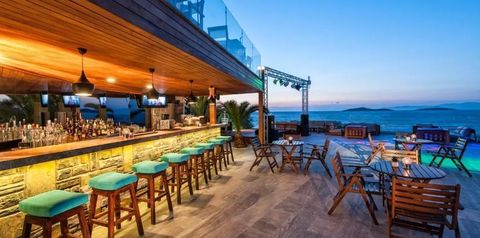 drink bar
