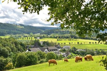 Sauerland Alpin
