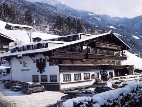 Schwarzer Adler