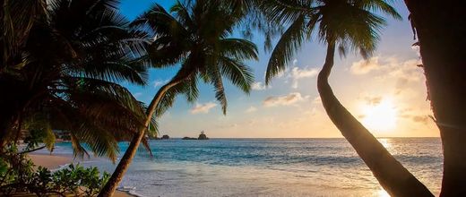 Anse Soleil Beachcomber
