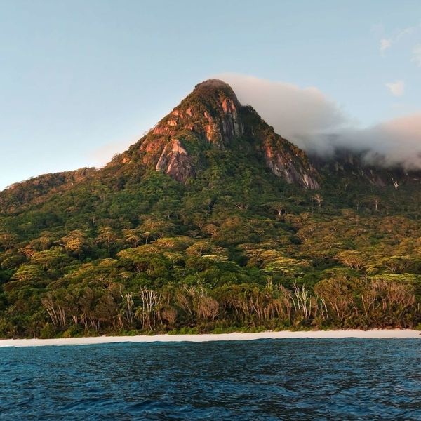Niva Labriz Seychelles