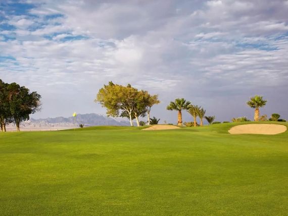 Miniaturka 30