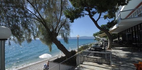 teren hotelu, balkon / taras
