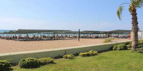 plaża