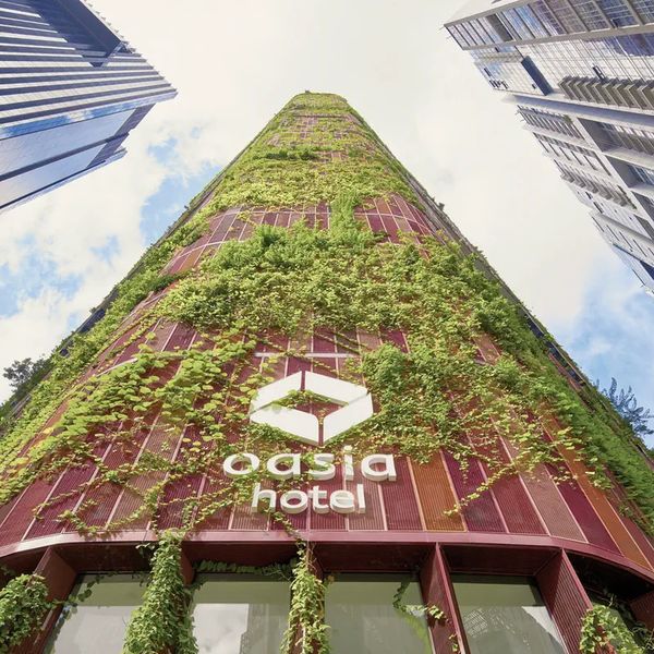 Oasia Downtown – 2026-04-30 - Zdjęcie 3