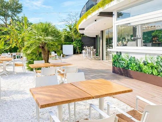 restauracja, kawiarnia