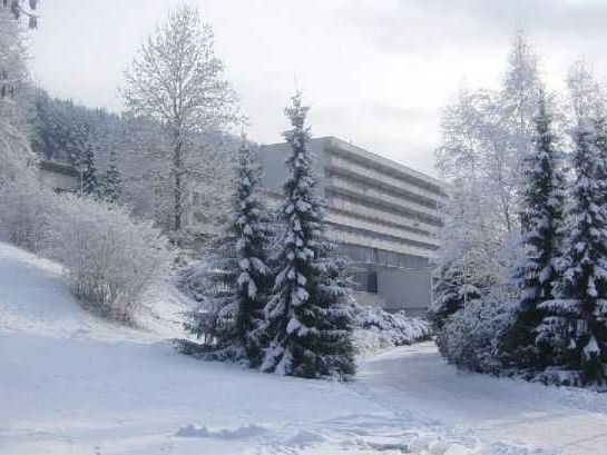 Polana